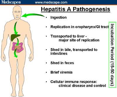 Hepatitis Symptoms