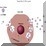 Hepatitis C break down